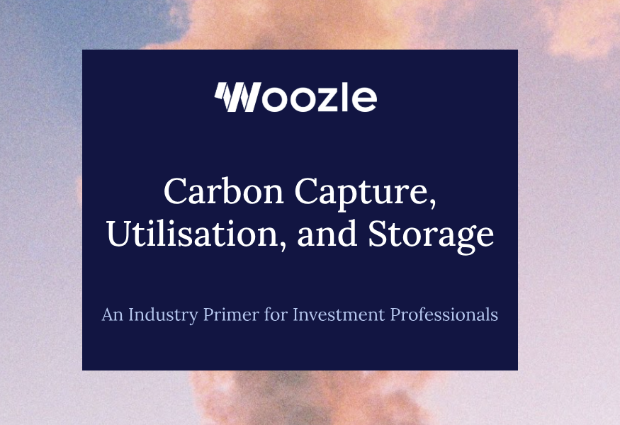 An Industry Primer on Carbon Capture for Investment Professionals